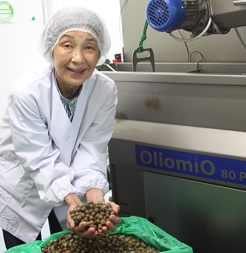 代表取締役	坂和 照子